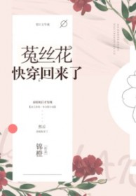 娇气包快穿回来了