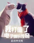 我打造了电子娱乐传奇