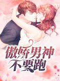 傲娇男神不要跑唐言薄聿司