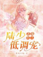老婆在上腹黑帝少成