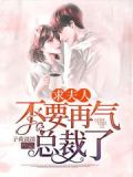 夫人,求放过