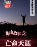 亡命天涯讲了一个什么故事