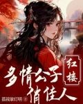 红楼：重生贾环文武双全