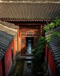 四合院：一切从劳改贾张氏开始！