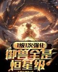 1级1次强化，御兽全是恒星级