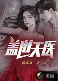 盖世天医 作者:铸剑十年